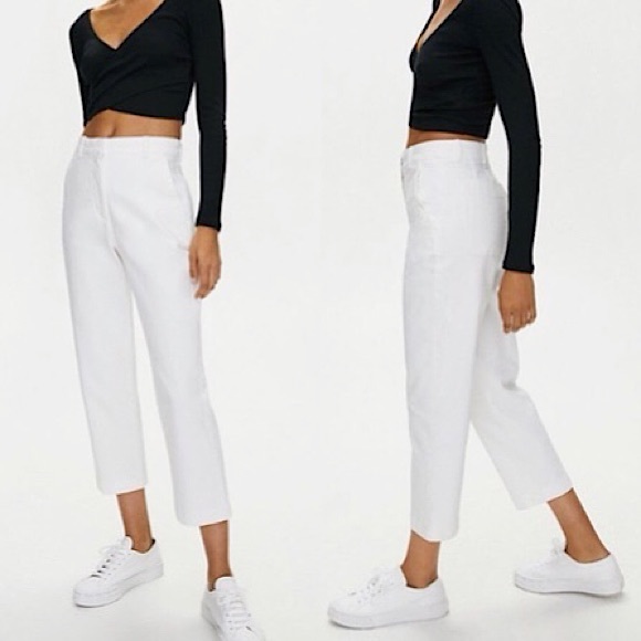 ARITZIA GROUP BABATON “ANDRO” PANT SIZE 8 - Picture 1 of 10